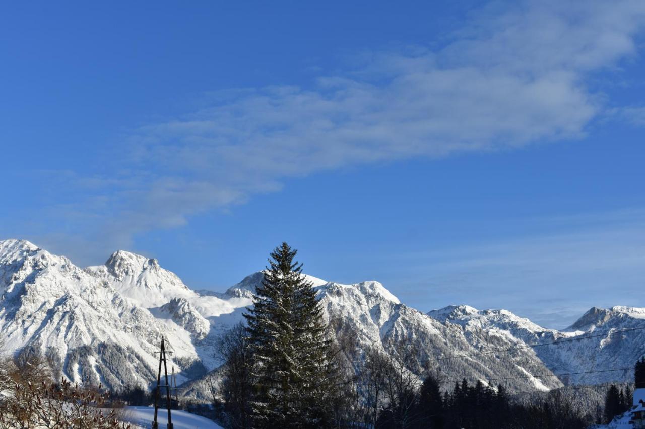 Vitaler Landauerhof Hotel Schladming